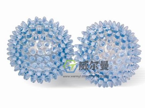 WE-AMQ按摩球