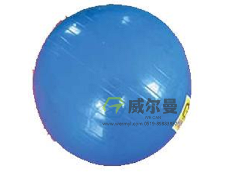 WE-BSQ-B巴氏球 φ65cm