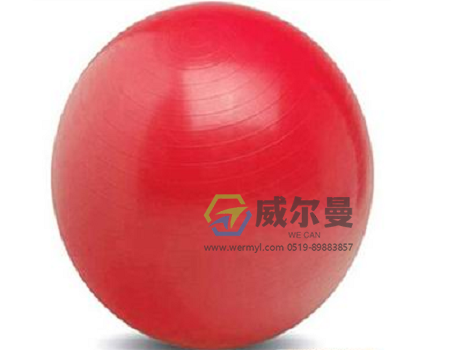 WE-BSQ-D巴氏球 φ85cm