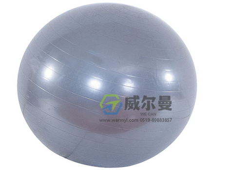 WE-BSQ-F巴氏球 φ105cm