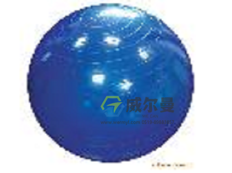 WE-KAD-004按摩大龙球