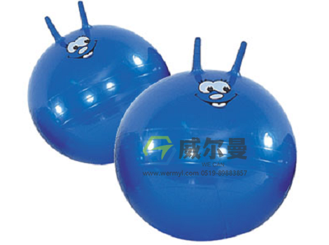 WE-YJQ-A羊角球 φ46cm