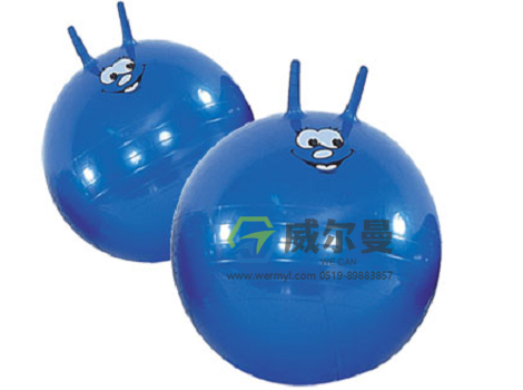 WE-YJQ-B羊角球 φ56cm