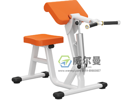WE-DS-09等速手臂屈伸训练器