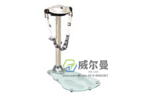 WE-AMQ振动按摩器