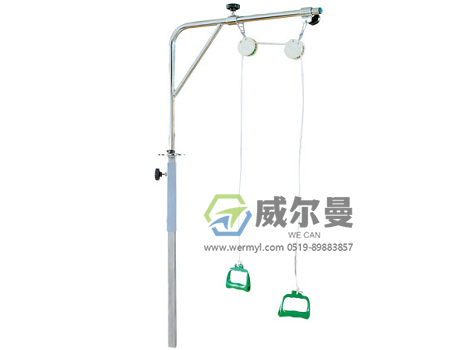 WE-DHQ-A滑轮吊环训练器